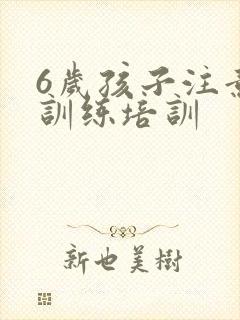 6岁孩子注意力训练培训