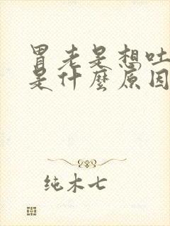 胃老是想吐反酸是什么原因