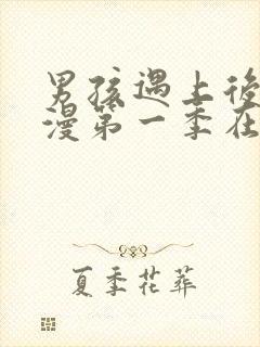 男孩遇上后宫动漫第一季在线观看