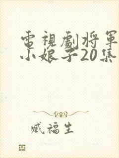 电视剧将军家的小娘子20集至40集封面