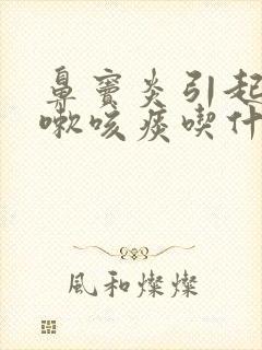 鼻窦炎引起的咳嗽咳痰吃什么药