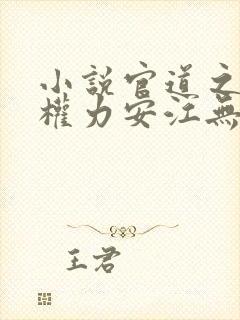 小说官道之绝对权力安江无弹窗全文免费阅读封面