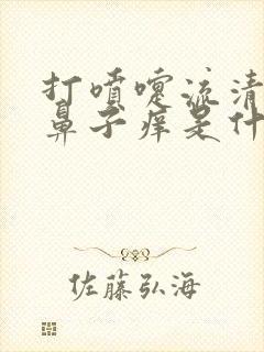 打喷嚏流清鼻涕鼻子痒是什么原因