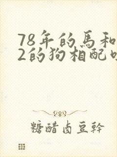 78年的马和82的狗相配吗