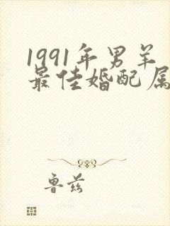 1991年男羊最佳婚配属相