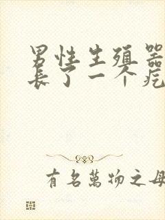 男性生殖器根部长了一个疙瘩是怎么回事