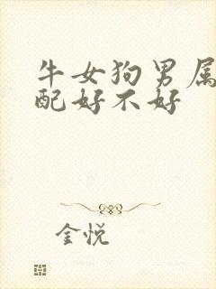 牛女狗男属相婚配好不好