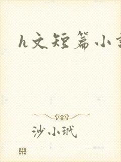 h文短篇小说封面