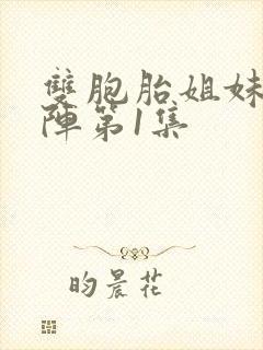 双胞胎姐妹齐上阵第1集封面