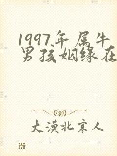 1997年属牛男孩姻缘在哪一年