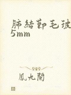 肺结节毛玻璃状5mm