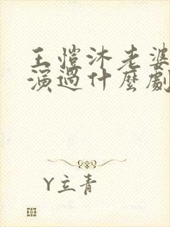 王恺沐老婆陈静演过什么剧封面