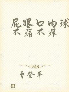 屁眼口肉球突出不痛不痒