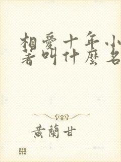 相爱十年小说原著叫什么名字