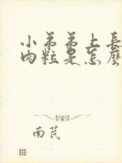 小弟弟上长了小肉粒是怎么回事