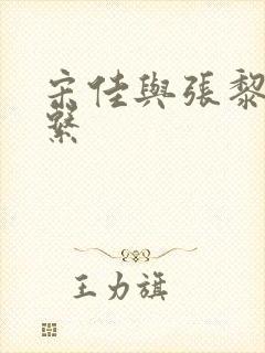 宋佳与张黎的关系