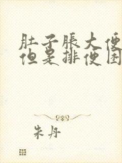 肚子胀大便不干但是排便困难