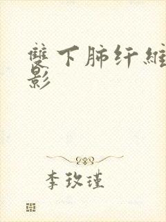 双下肺纤维索条影