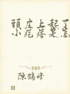 头皮上起了一些小疙瘩是怎么回事