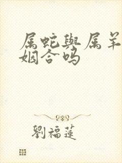 属蛇与属羊的婚姻合吗封面