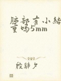 肺部有小结节严重吗5mm