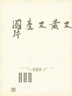 国产又黄又大黄片