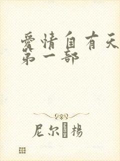 爱情自有天意 第一部