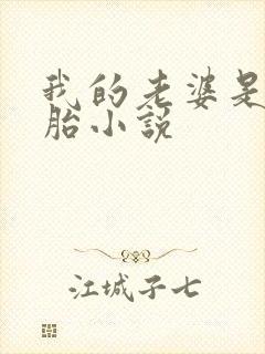 我的老婆是双胞胎小说