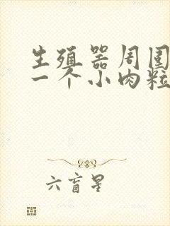 生殖器周围长了一个小肉粒