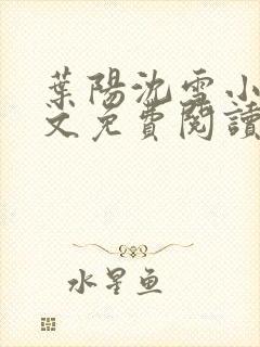 叶阳沈雪小说全文免费阅读最新章节