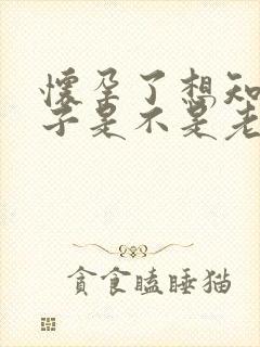 怀孕了想知道孩子是不是老公的封面