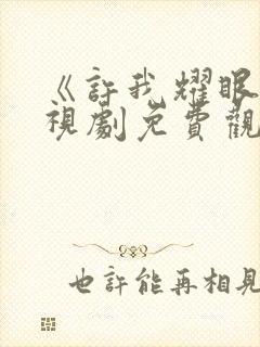 《许我耀眼》电视剧免费观看全集