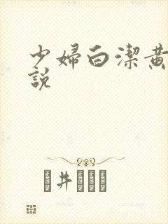 少妇白洁黄色小说