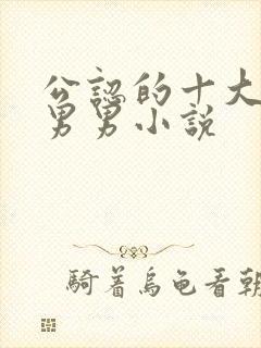 公认的十大虐心男男小说