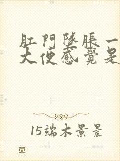 肛门坠胀一直想大便感觉是怎么回事