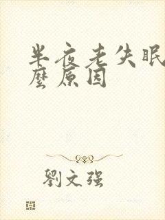 半夜老失眠是什么原因封面