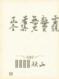 正者无敌电视剧全集免费观看封面