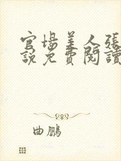 官场美人张梅小说免费阅读最新章节