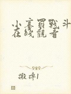 小赛罗战斗动画在线观看