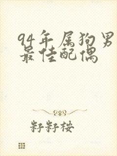 94年属狗男的最佳配偶封面