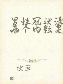 男性冠状沟长了两个肉粒是怎么回事