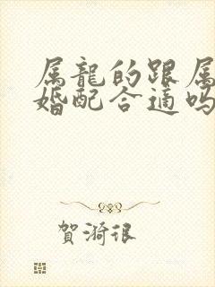 属龙的跟属马的婚配合适吗