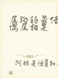 属狗的最佳的配偶属相是封面