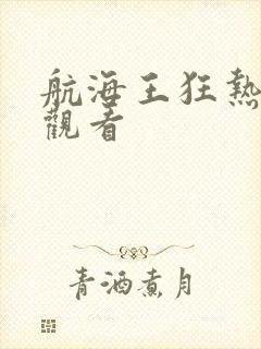 航海王狂热行动观看