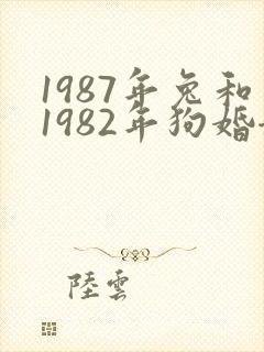 1987年兔和1982年狗婚姻
