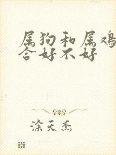 属狗和属鸡女结合好不好