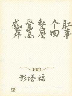 感觉整个肚子都疼怎么回事