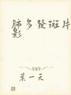 肺多发斑片索条影