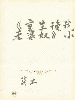 《重生后我成了老婆奴》小说封面