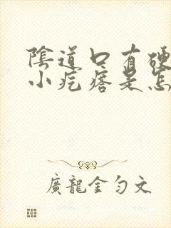 阴道口有硬硬的小疙瘩是怎么回事